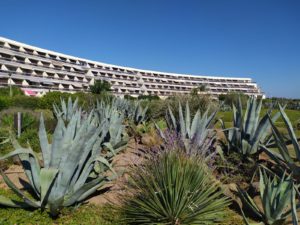 Les jardins de l'Agdic Héliopolis